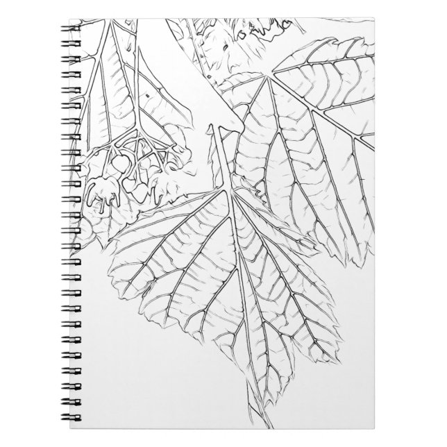 Basswood Lövs Anteckningsbok (Framsidan)