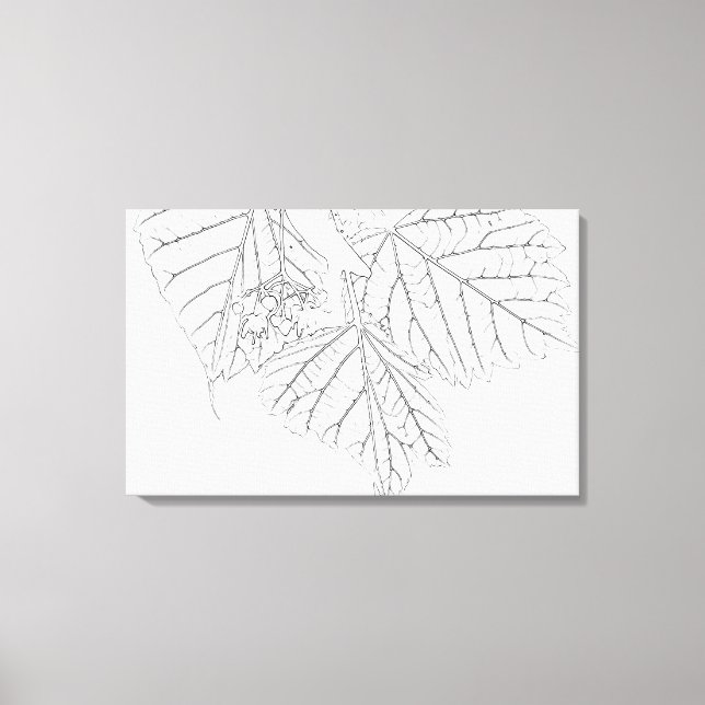 Basswood Lövs Canvastryck (Framsida)