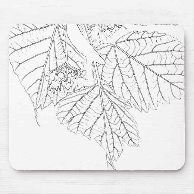 Basswood Lövs Musmatta (Framsidan)