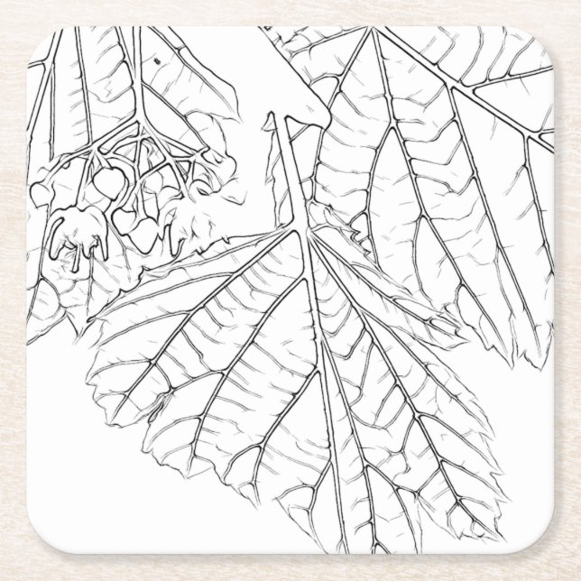 Basswood Lövs Underlägg Papper Kvadrat (Framsidan)