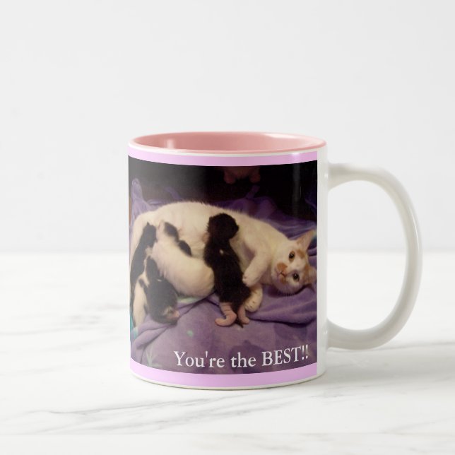 Bäst babysitter för världar!!! Två-Tonad mugg (Höger)