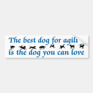 Bäst hund för Agility Bildekal