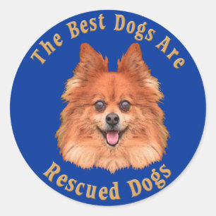 Bäst hundar är räddade Pomeranian), Runt Klistermärke