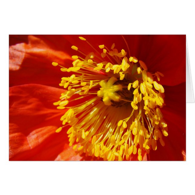 Bäst klätt hälsningskort (Framsidan Horizontal)