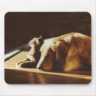 Bäst kompisar för guld- RetrieverMousepad katt Musmatta