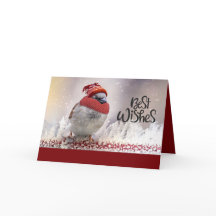 Bäst önskemålSparrow med hatten