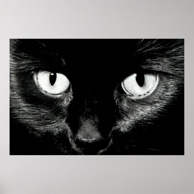 Bast Poster (Framsidan)