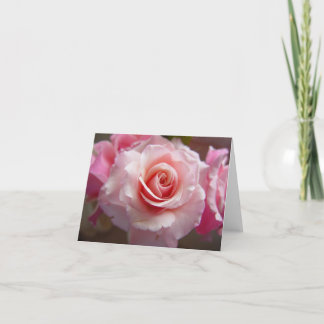 bäst shots 021 kort