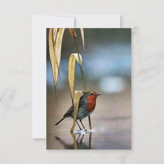 Bästa 3,5-tums x 5-tums platta tackkort tack kort (Framsida)