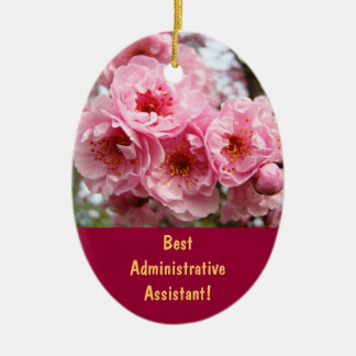 Bästa administrativa assistent! presenter ornament