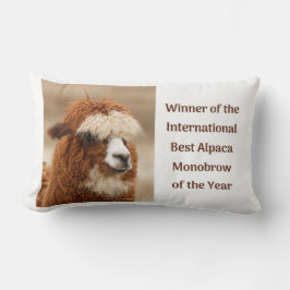 Bästa Alpaca Enbryn Lumbarkudde