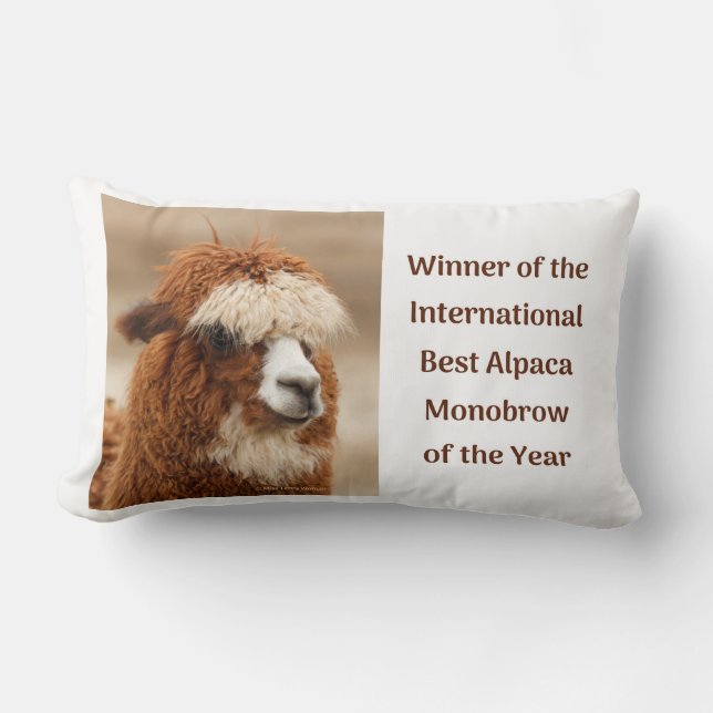 Bästa Alpaca Enbryn Lumbarkudde (Framsida)