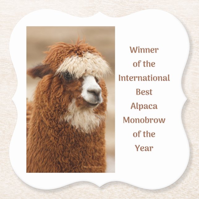 Bästa Alpaca Enbryn Underlägg Papper (Framsida)