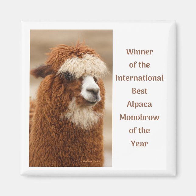 Bästa Alpaca-monobryn Magnet (Framsidan)