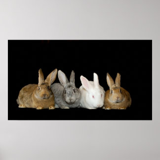 Bästa anstalter poster