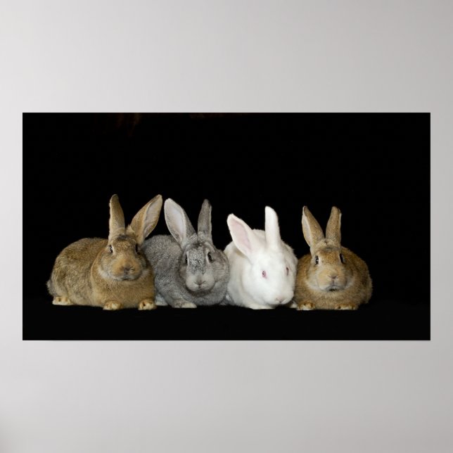 Bästa anstalter poster (Framsidan)