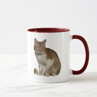 Bästa arbetskamrat kattfoto och hjärtan mugg