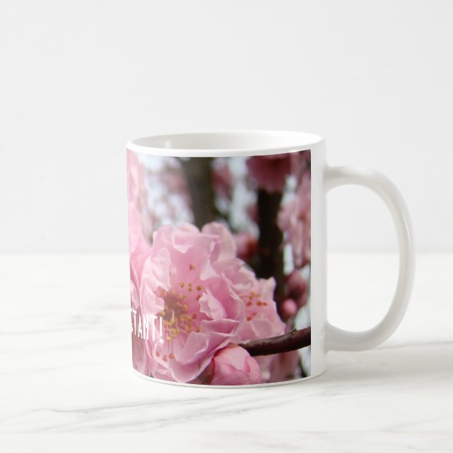 Bästa assistent! Kaffe kopp gåvor Rosa Blommor (Höger)