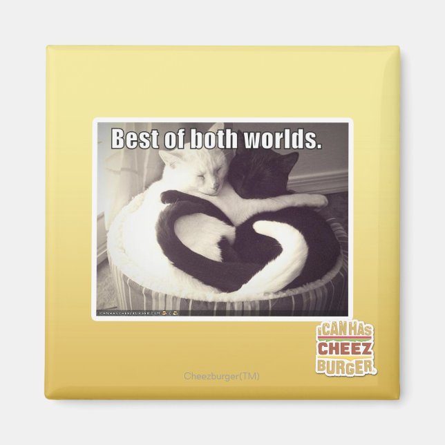 Bästa av båda världar. magnet (Framsidan)