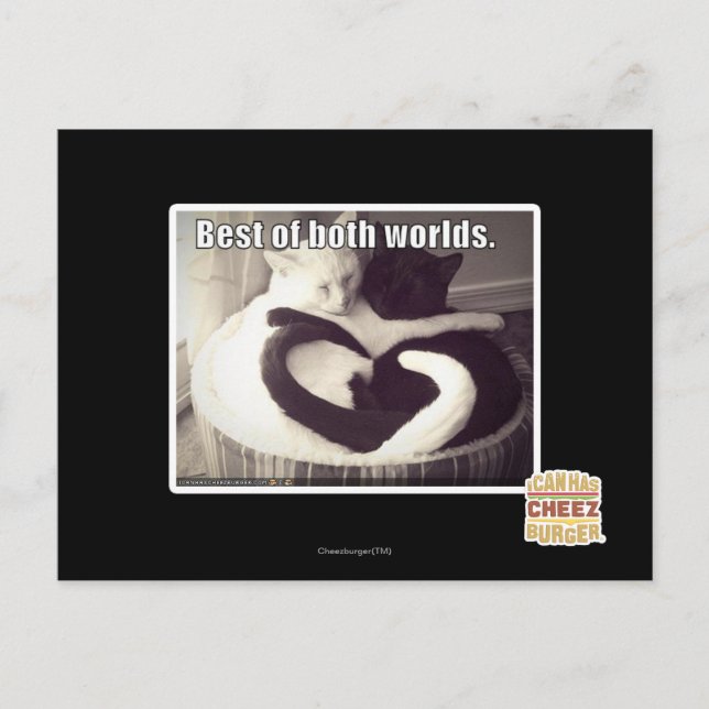 Bästa av båda världar. vykort (Framsida)