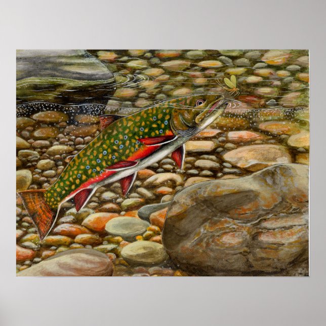 Bästa av show 2004 poster (Framsidan)