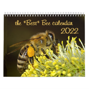Bästa bikalender 2020 med foton och beskrivningar kalender