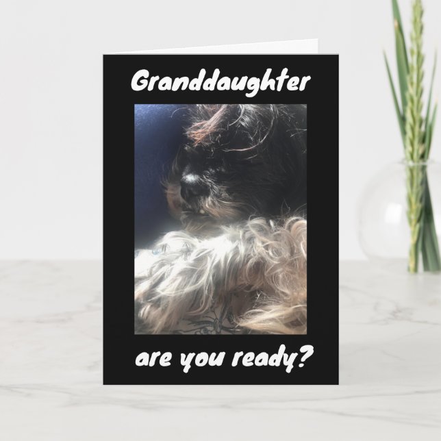 BÄSTA BIRTHDAY EVER TO TO ***GRANDDAUGHTER** KORT (Framsida)