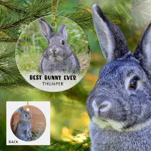 BÄSTA BUNNY VARJE Rabbit Photo Personlig Julgransprydnad Keramik