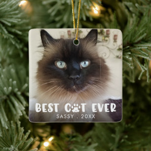 BÄSTA CAT-foto EVER Paw Print Personlig Photo Julgransprydnad Keramik