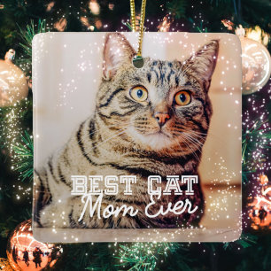 Bästa Cat Mamma någonsin Modern Anpassningsbar Pet Julgransprydnad Keramik