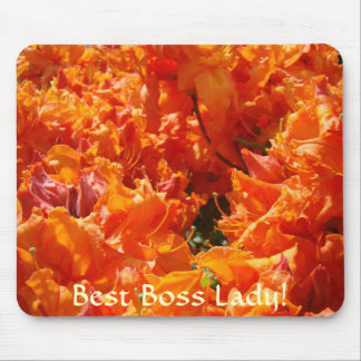 BÄSTA CHEF PRESENT Musmatta Azalea Rhododendron Ju