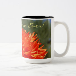 Bästa farmor någonsin kaffemuggar mormors dag