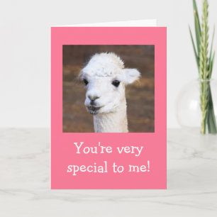 Bästa födelsedag någonsin Llama Kort
