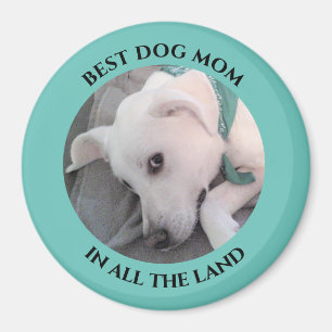 Bästa foto av Cute White Puppy Hund Blue Morsa Magnet