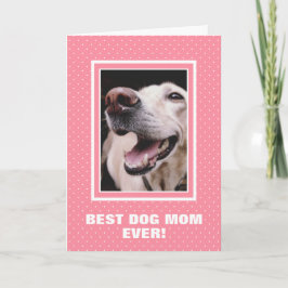 Bästa fotodagen för Rosa av  Mor i Hund någonsin,  Kort