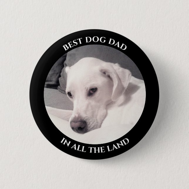 Bästa fotot av Cute White Puppy Hund Black i Hund Knapp (Framsida)