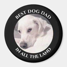 Bästa fotot av Cute White Puppy Hund Black i Hund Magnet