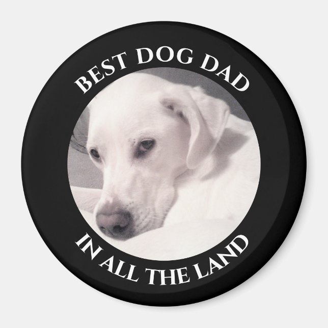 Bästa fotot av Cute White Puppy Hund Black i Hund Magnet (Framsidan)