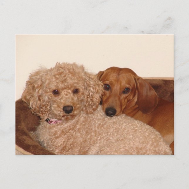 Bästa fru vykort (Framsida)