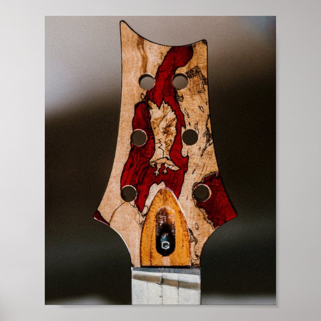 Bästa Guitarist någonsin Poster (Framsidan)