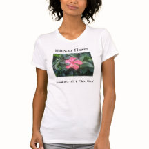 Bästa hibiskus