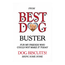 Bästa Hund-Bröllop-bikuit-Pub med sällskapsdjursfo