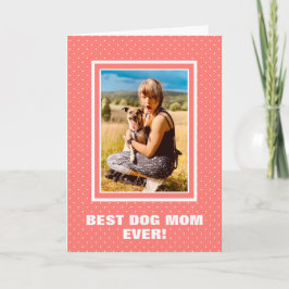Bästa Hund-dagen i Mor Kort