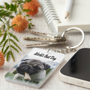 Bästa Hund-foto