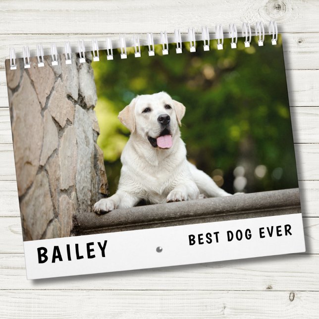 Bästa Hund-foto Kalender (Skapare uppladdad)
