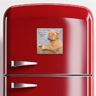 Bästa Hund-Mamma någonsin-Anpassade-fotonätverk Magnet
