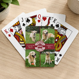 Bästa hund någonsin 4 Fotosammanställning Casinokort