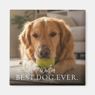 Bästa hund någonsin Ditt husdjurs namn och foto Magnet
