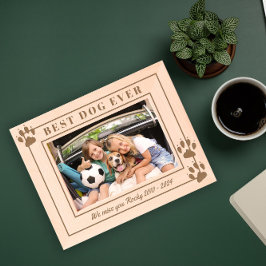 bästa hund någonsin för minnesminnet i tassar