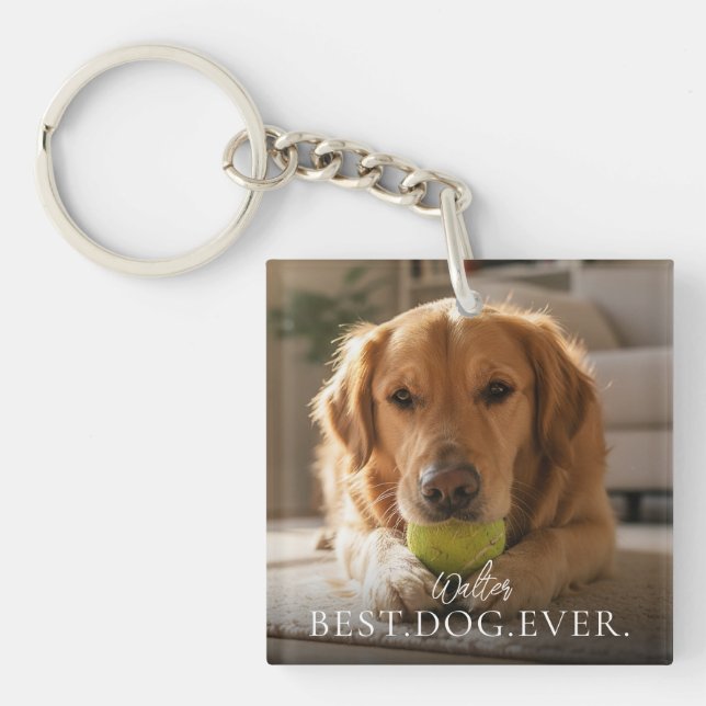 Bästa hund någonsin husdjur foto minne (Framsidan)